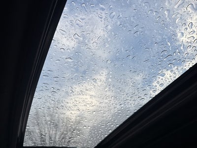 2025 Toyota Sienna Platinum 7 Passenger