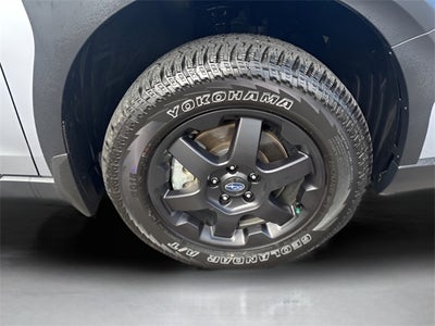 2025 Subaru Outback Wilderness