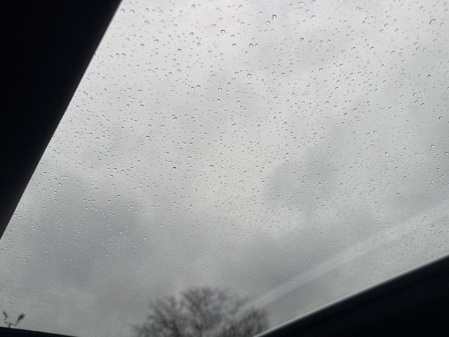 2025 Audi S5 Sportback Premium Plus quattro